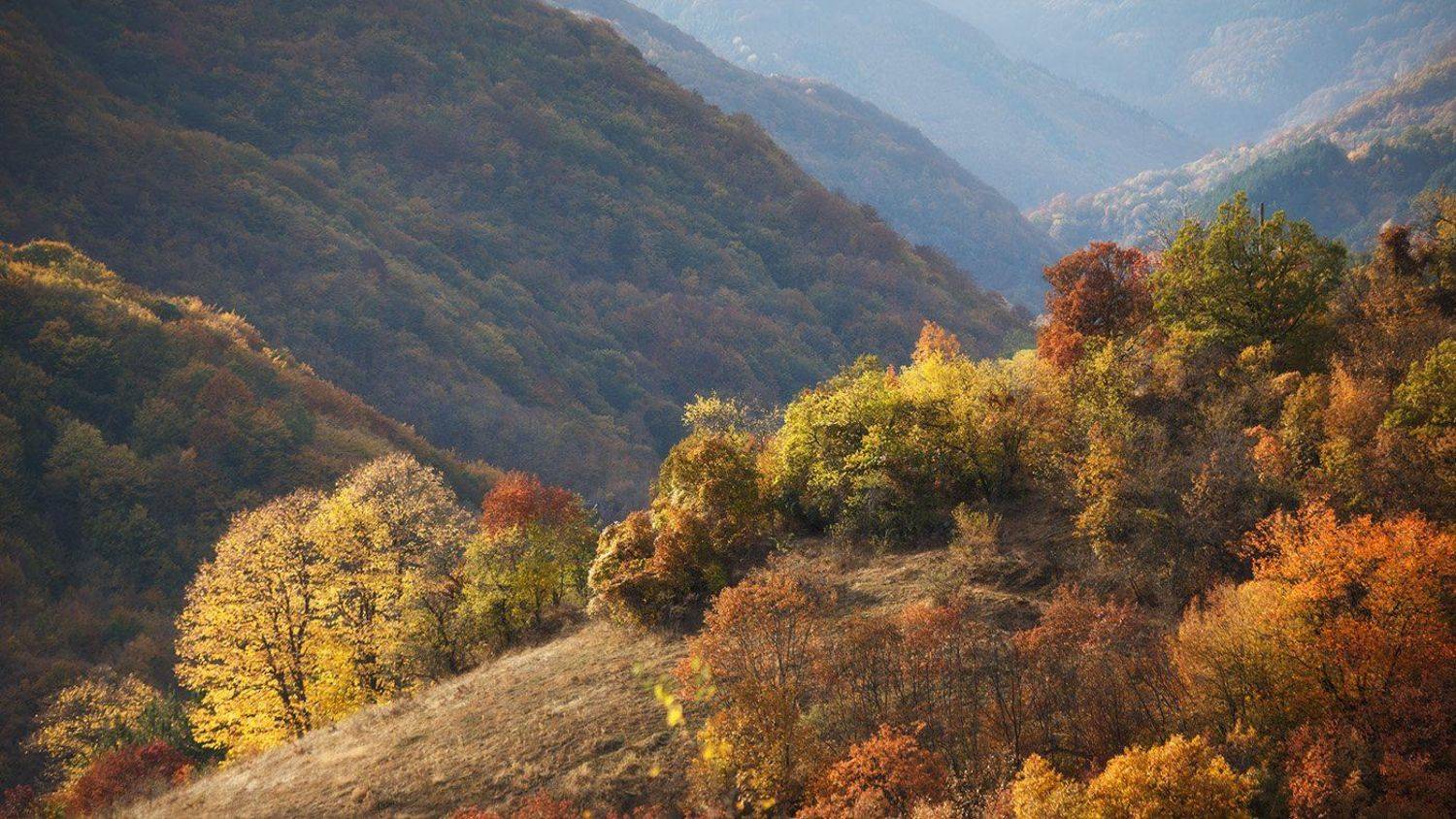 , Ирина Костова