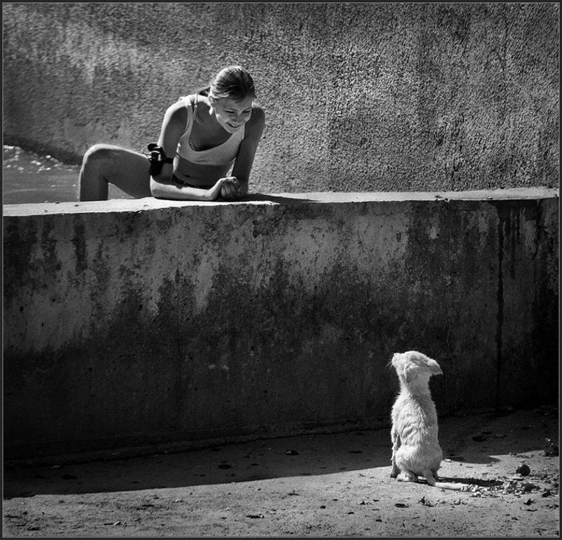 Друзья познаются в беде ... фото превью