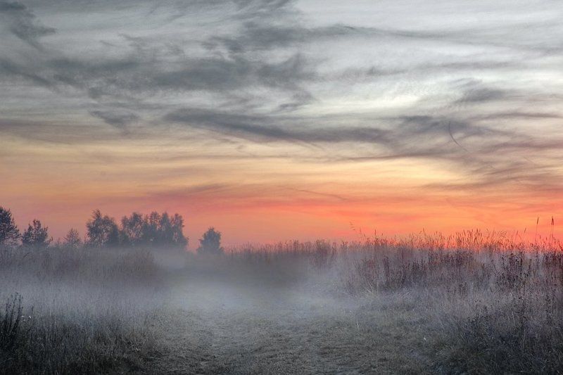 Туман наступает фото превью