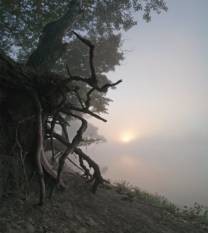 Сентябрьская свежесть фото превью