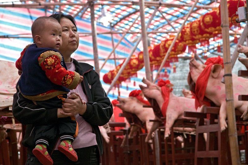 Слушая оперу фото превью