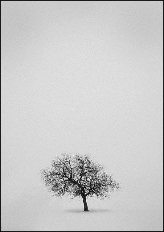 , Андрей Хитайленко