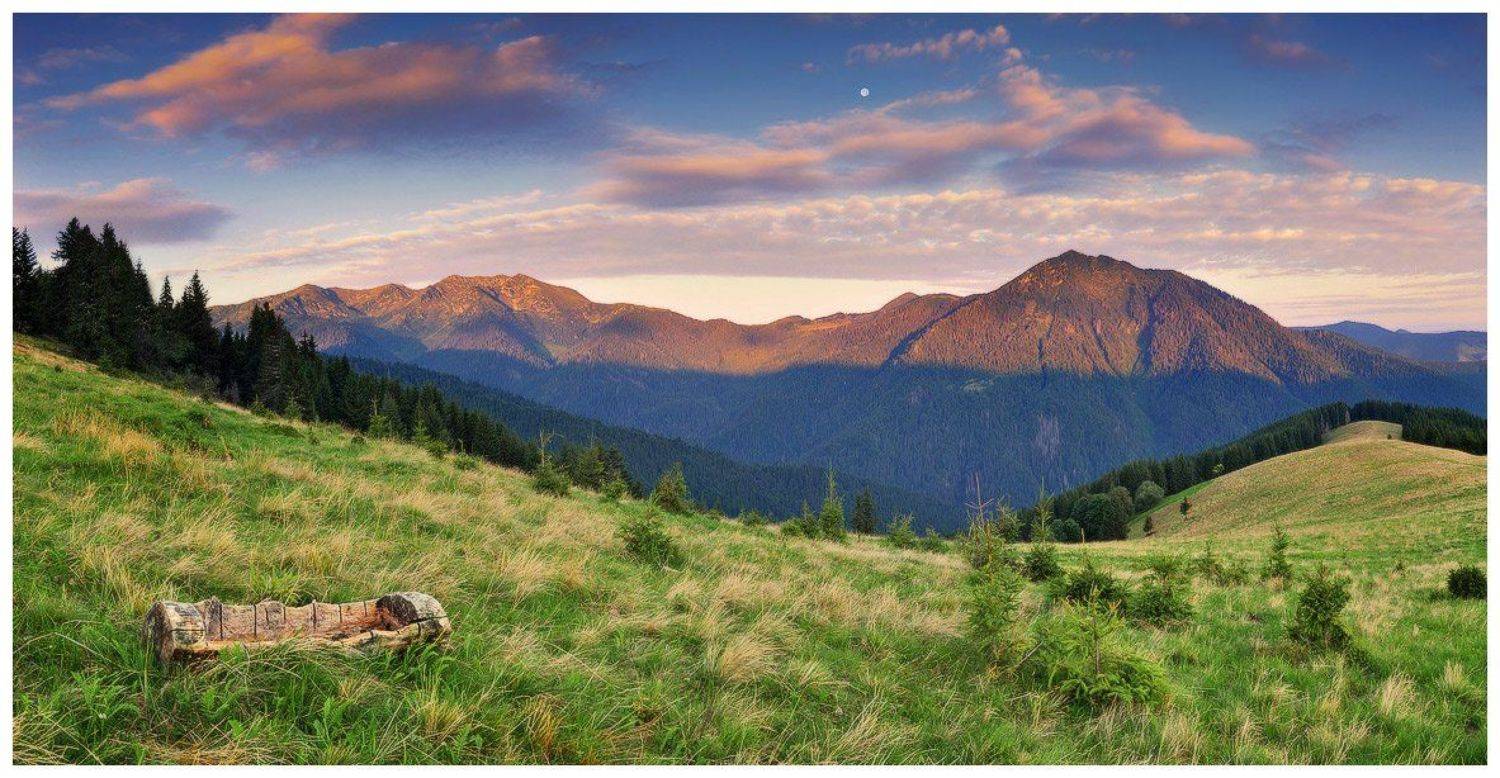 , Денис Кривой