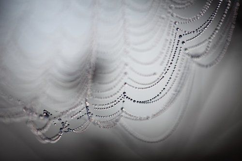 Сны директора подшипникового завода