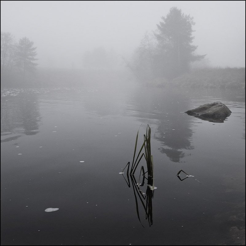 Оредежские туманы фото превью