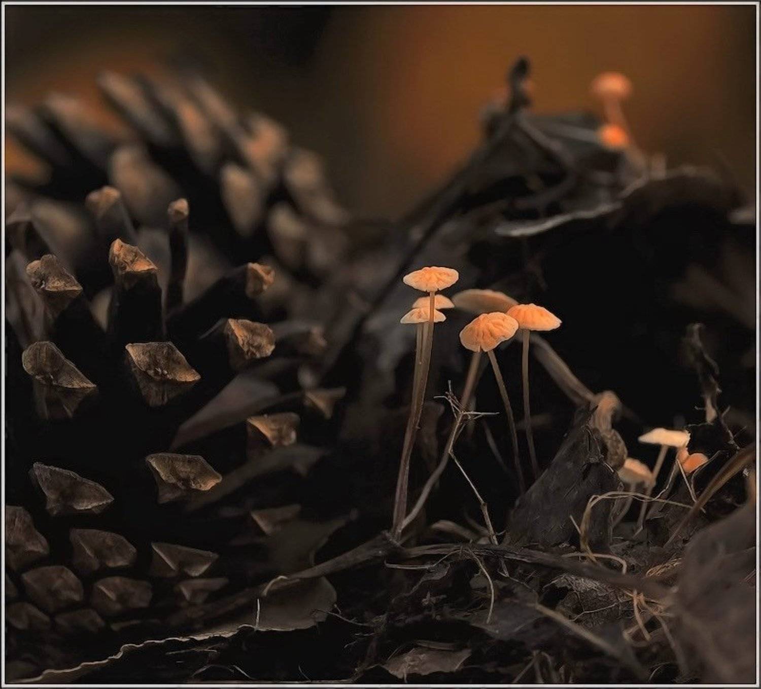 , Андрей Осокин