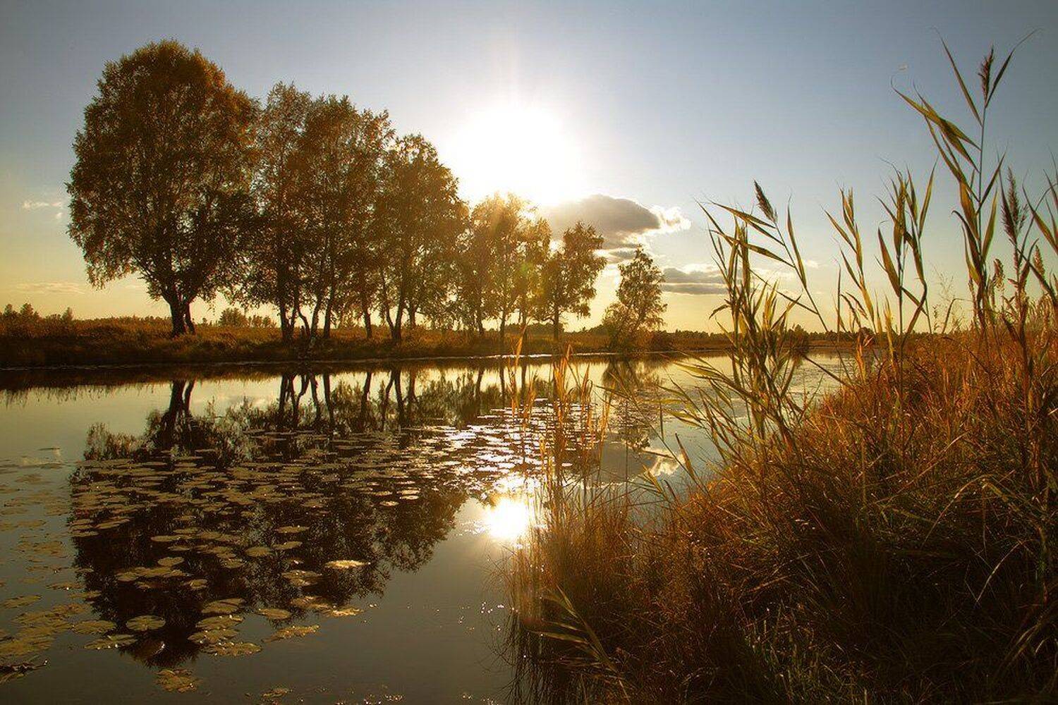 , Николай Морский