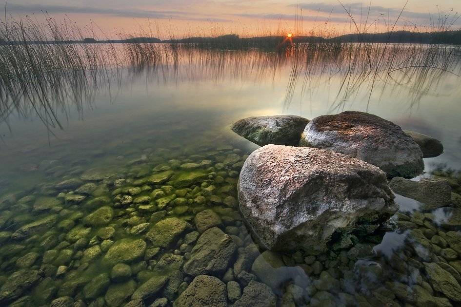 , Rimantas Bikulcius