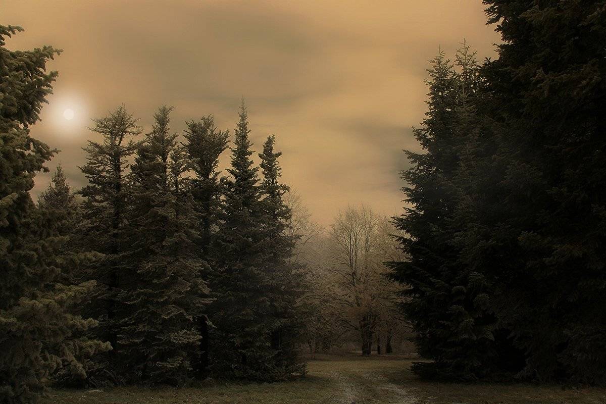 осень,природа,пейзаж, Михаил  Пилипенко