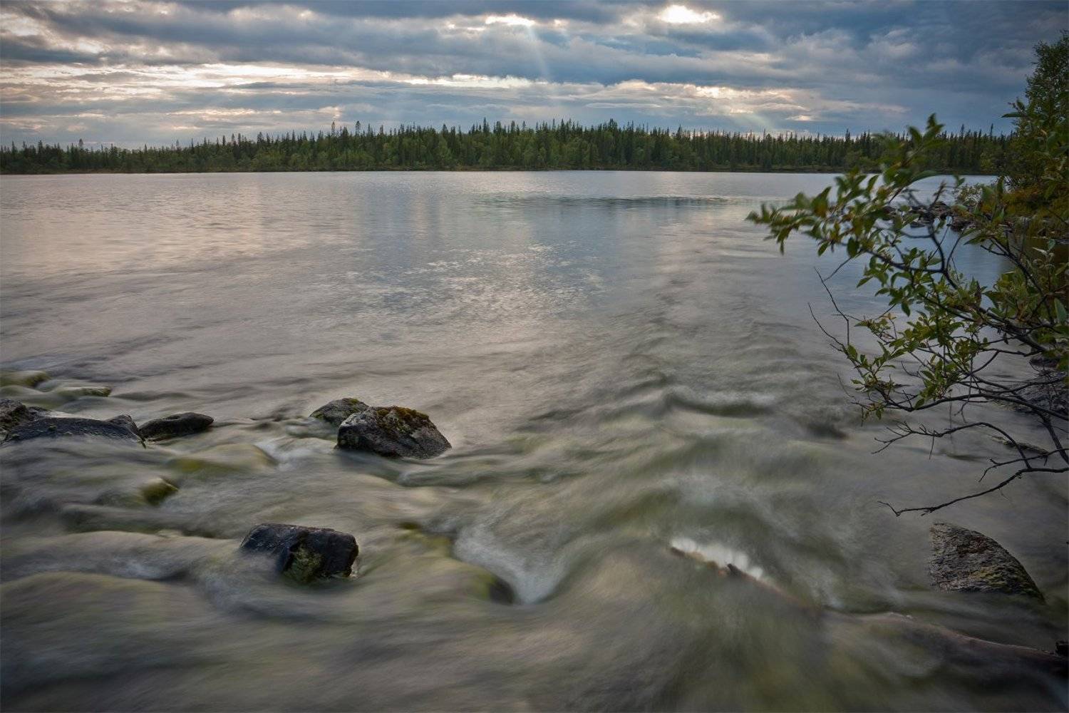 кольский, полуостров, озеро, Nikolai (locus)