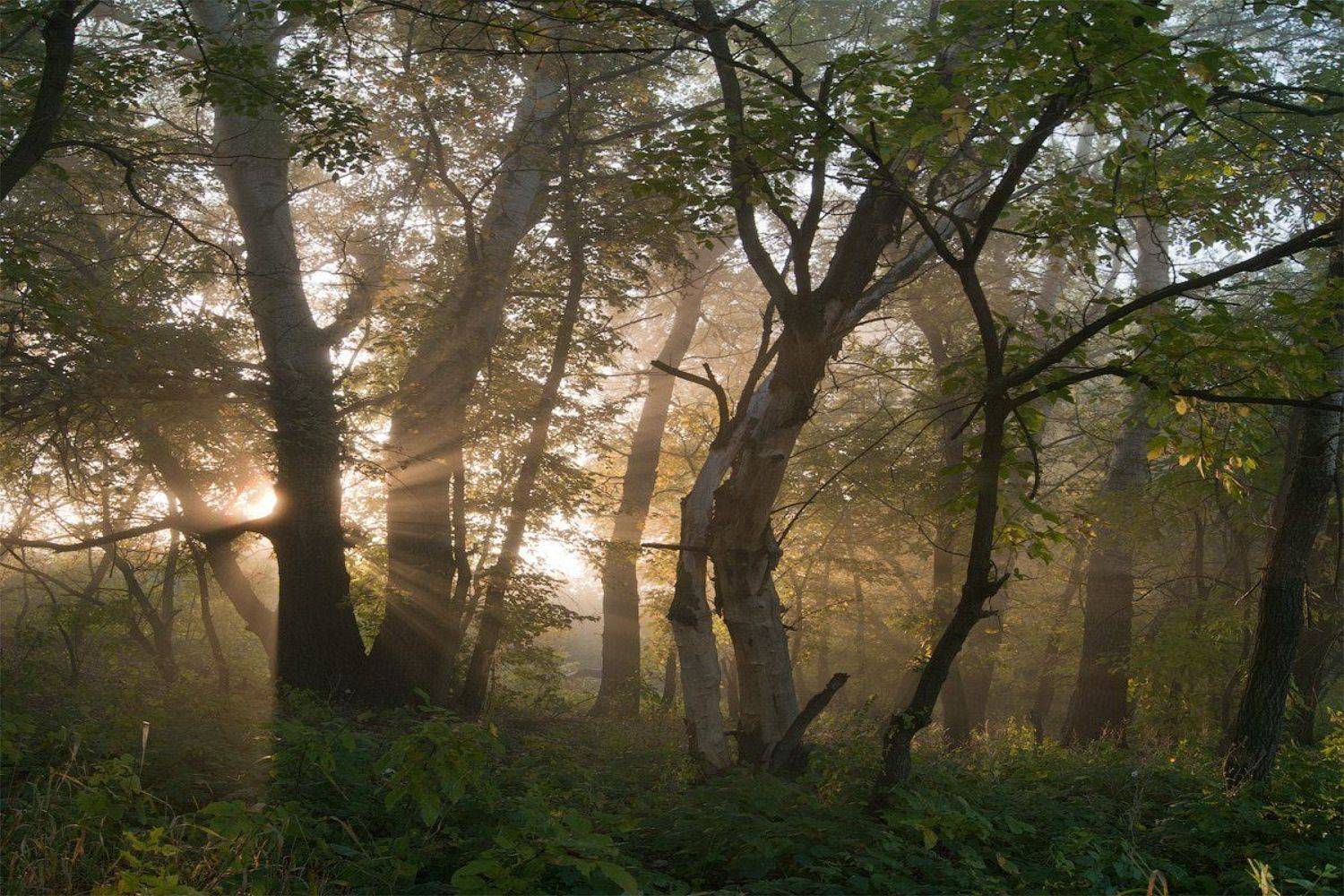 , Сергей Иванов