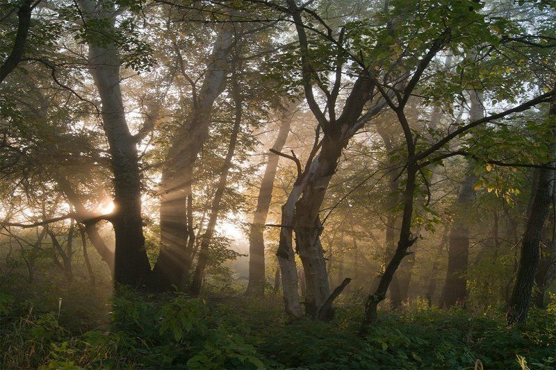 Взорвавшийся рассвет фото превью