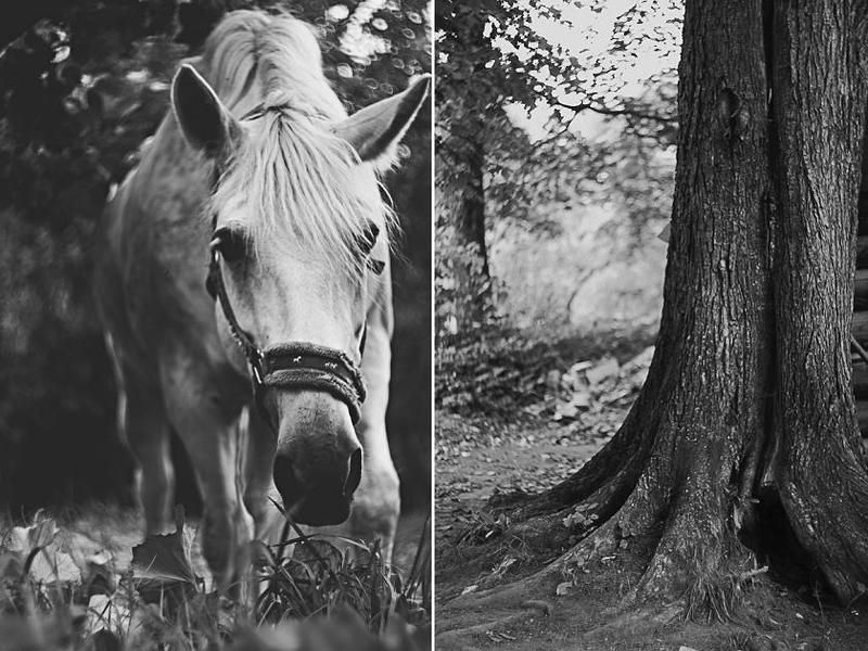 * фото превью