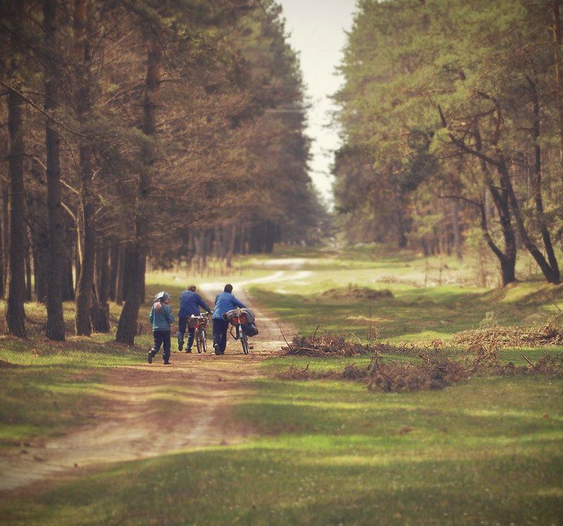 Туда, где душа отдыхает фото превью