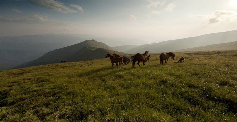 * * * * * фото превью