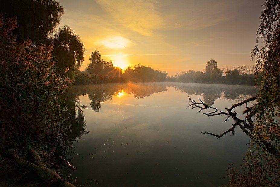 , Петр Антонович