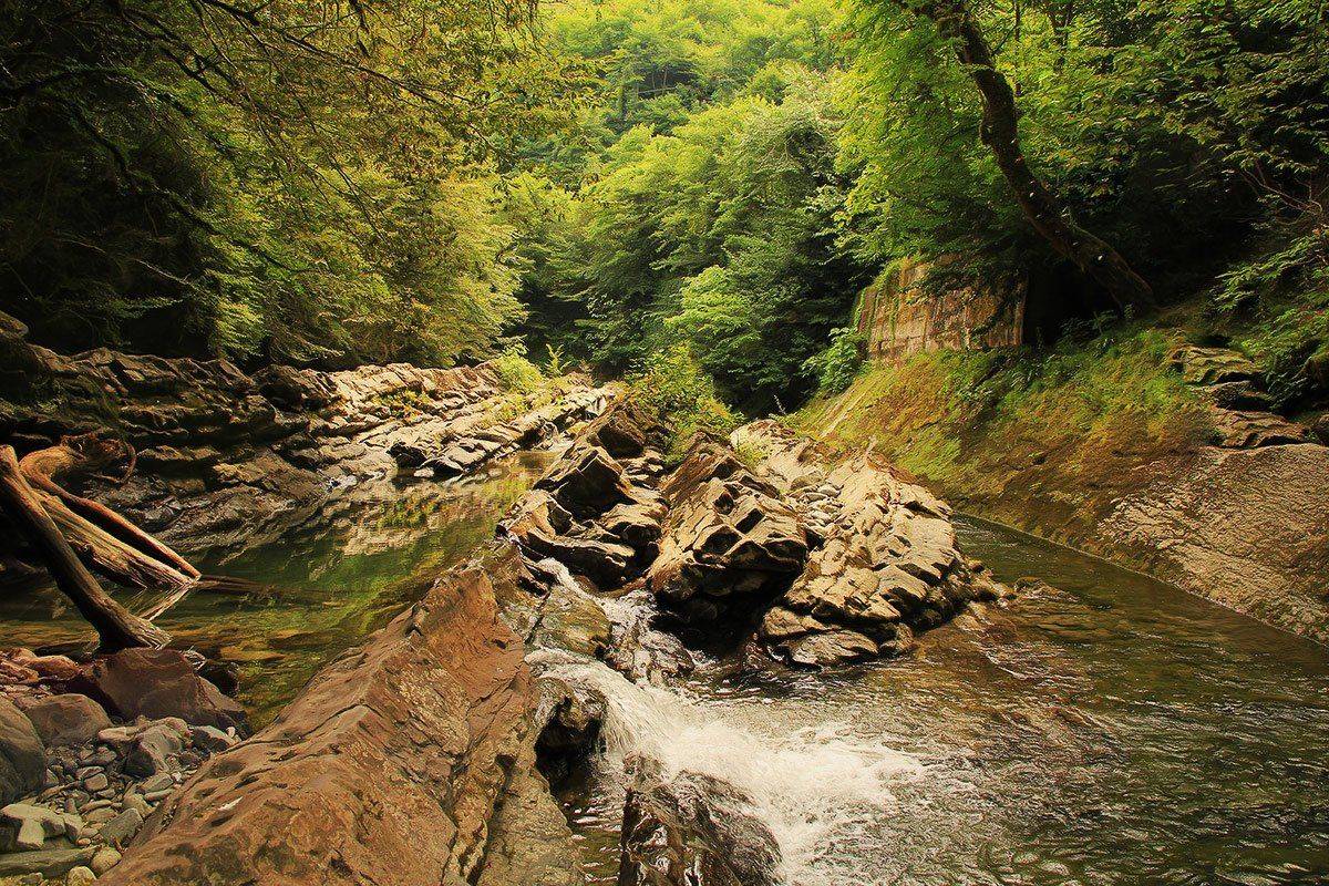 лето,природа,пейзаж, Михаил  Пилипенко