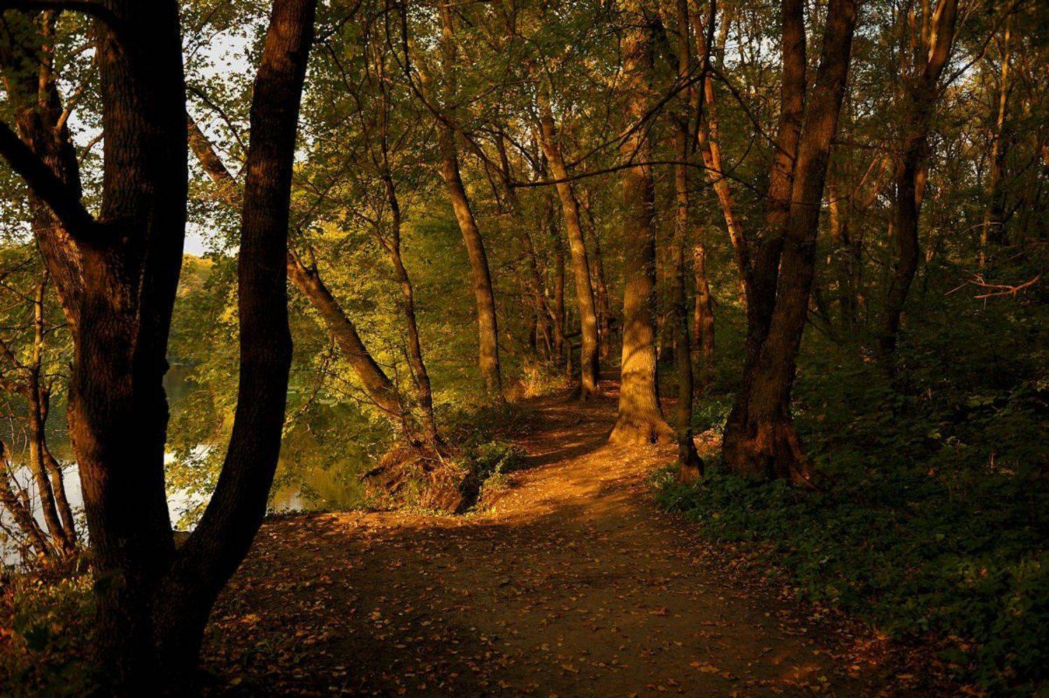 , Андрей Балабин