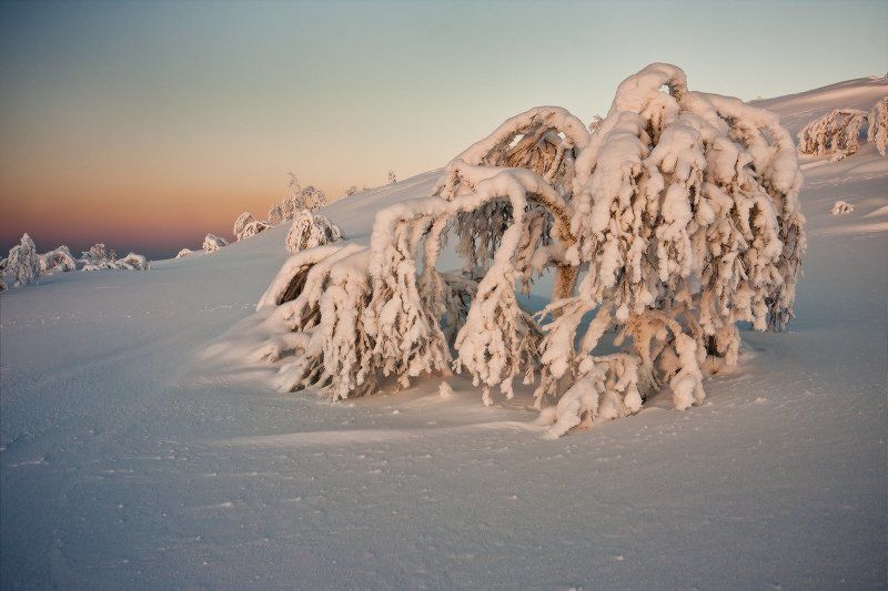 кольский, полуостров, зима ***** фото превью