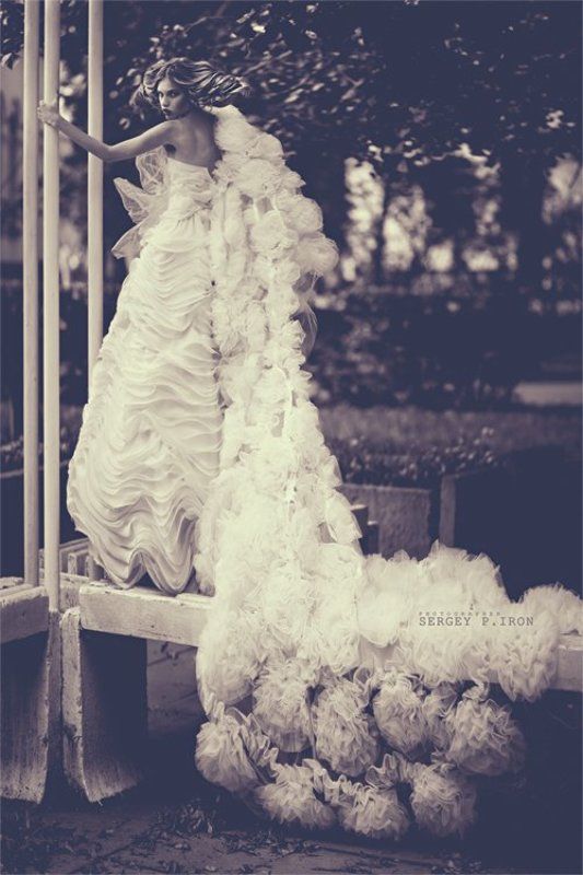 ...........................photo preview