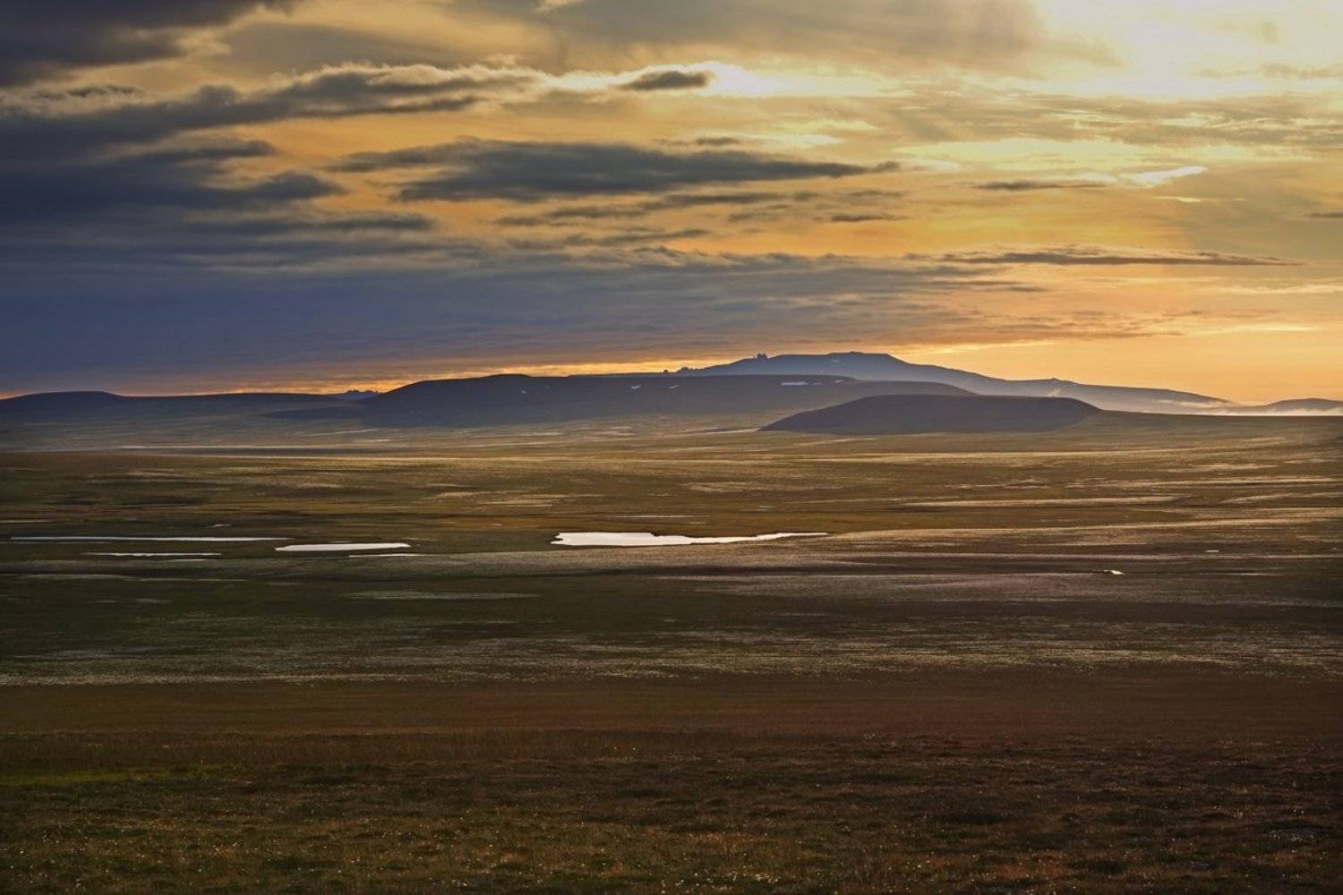 , Сергей Шульга