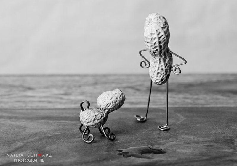 сценка, собачка, хозяин, орех, лужа Воспитательный процесс фото превью