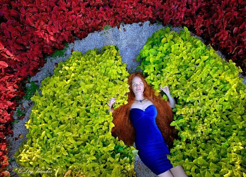 лечу к тебе фото превью