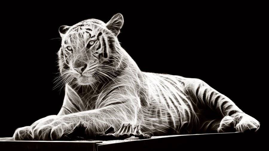 , Александр