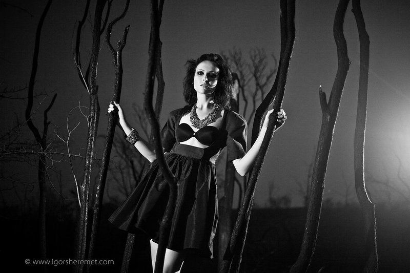 таинственный лес фото превью