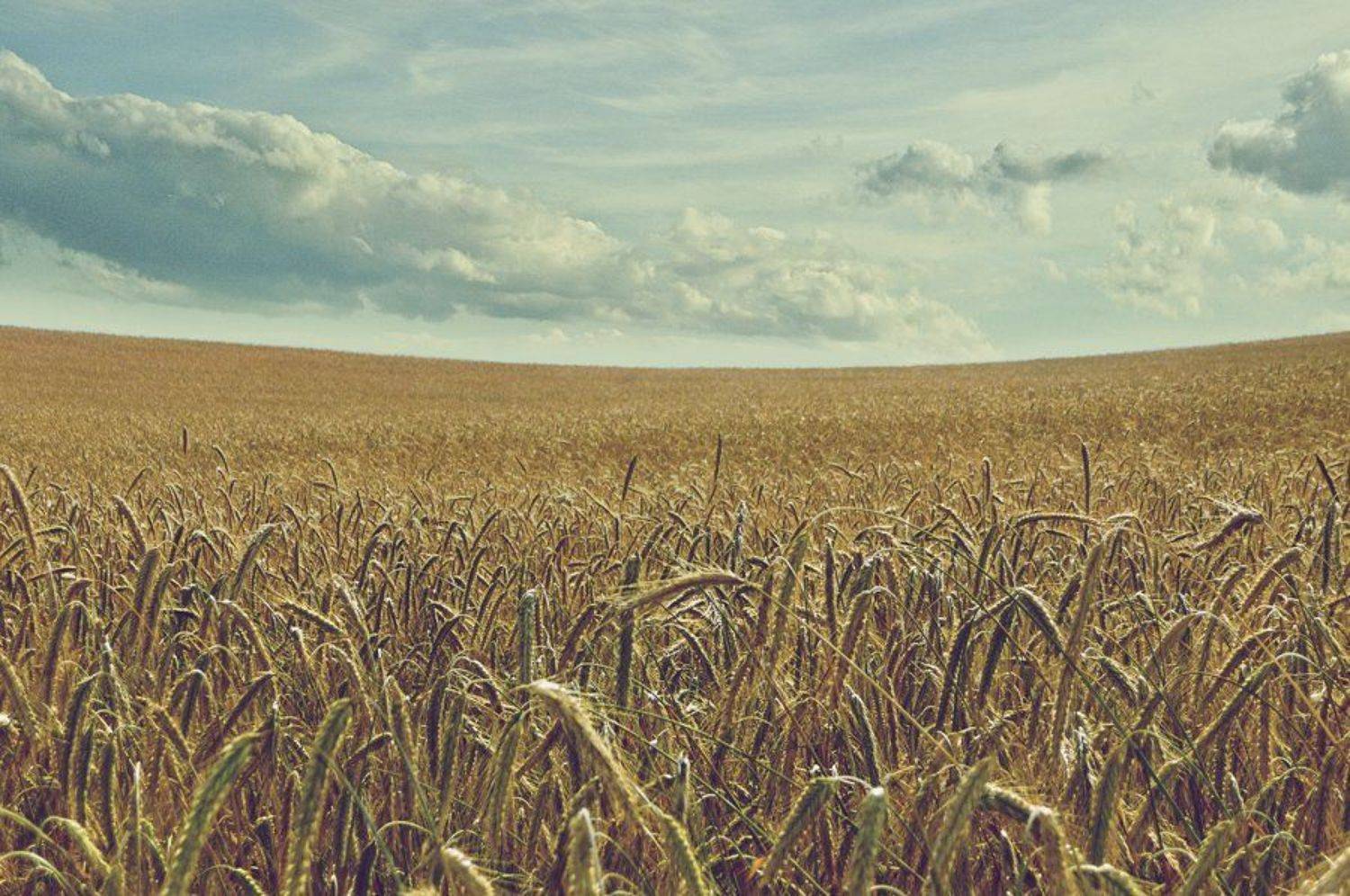 , Тимофеевский Валерий