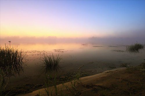 туманное утро