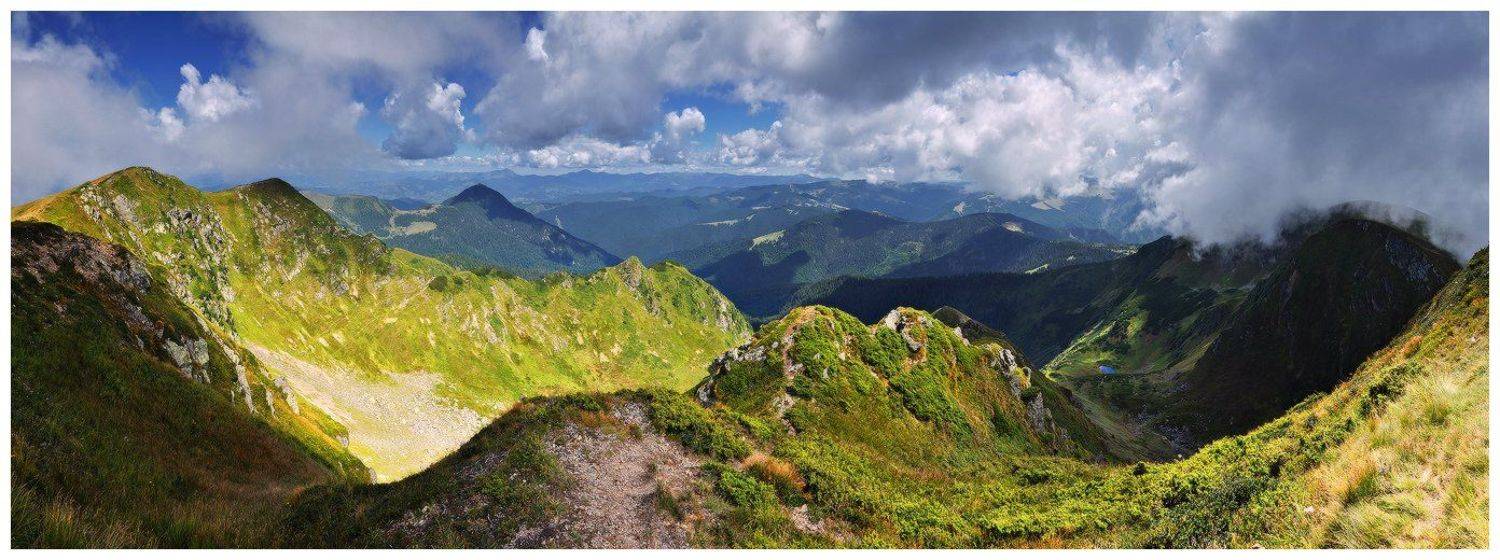 , Денис Кривой