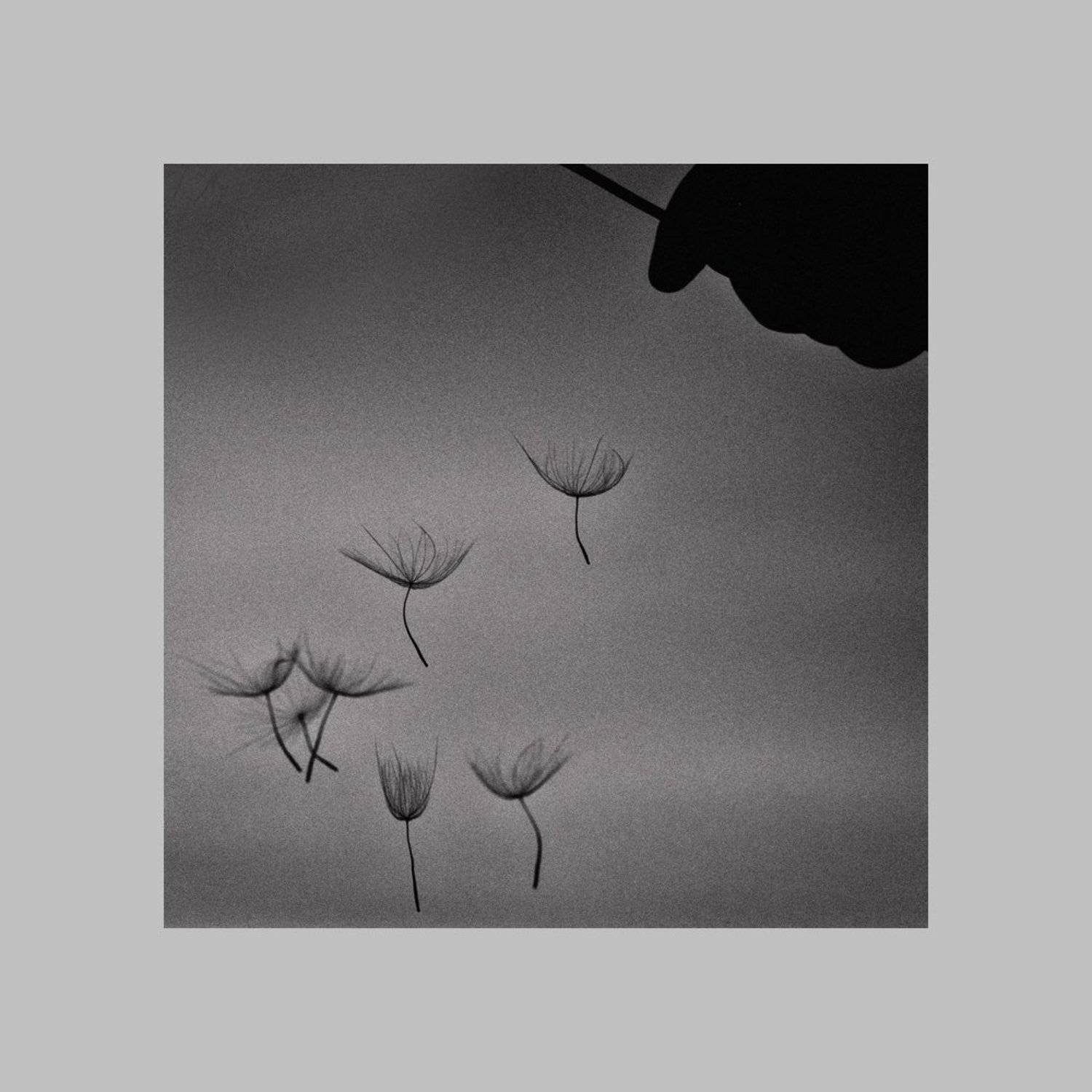 , Татьяна Аверина