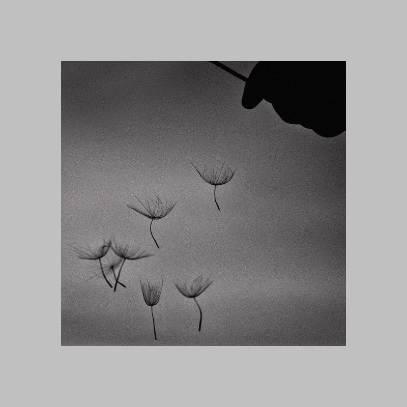 ...марионетки... фото превью