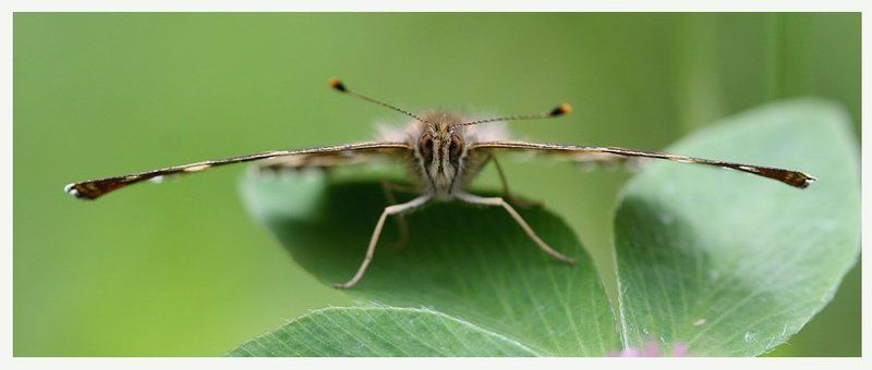 Готовы к взлету... фото превью