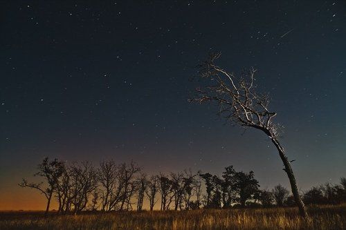 Звездный дождь