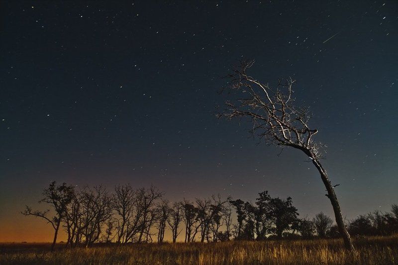 звездный дождь, batoev , батоев, дерево, дерево, звезды, небо, пейзаж ,комета, большая медведица, звезда Звездный дождь фото превью