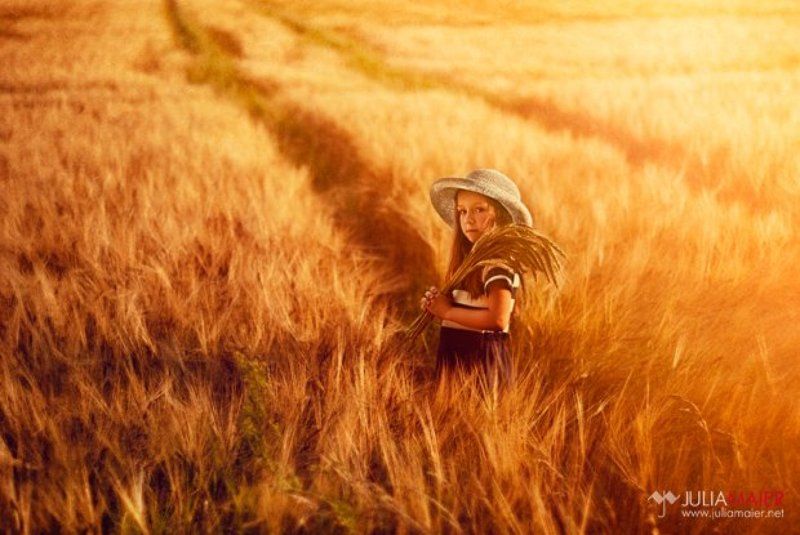 Предзакатная тишина фото превью