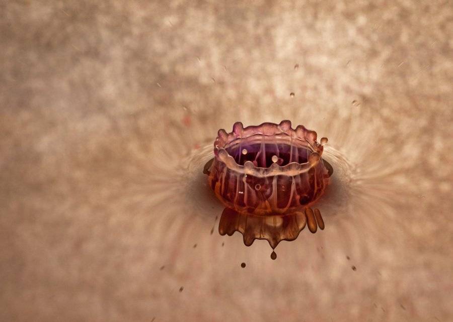 macro, water drop, mustafa yagci