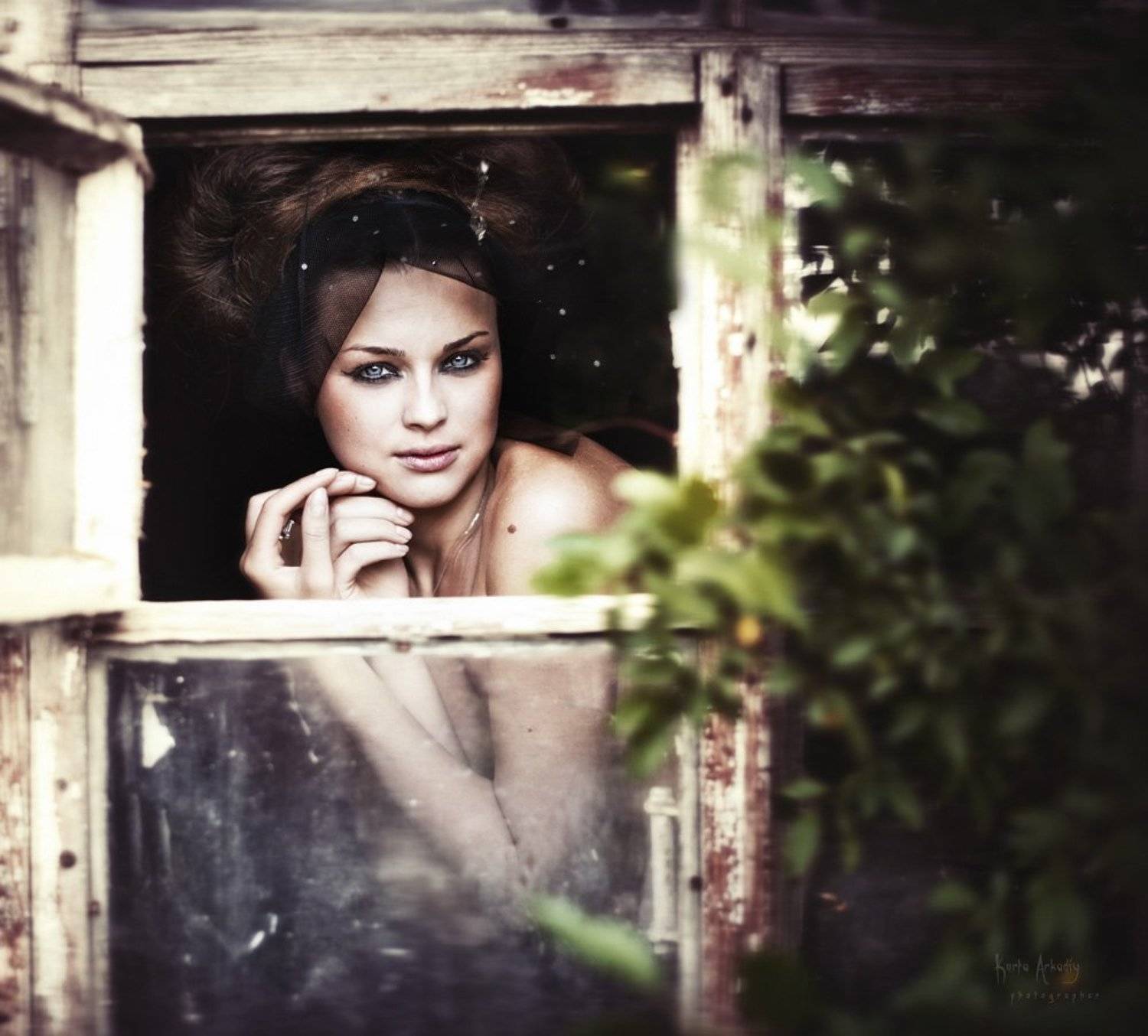 портрет,эмили,arkadiy kurta, Аркадий Курта