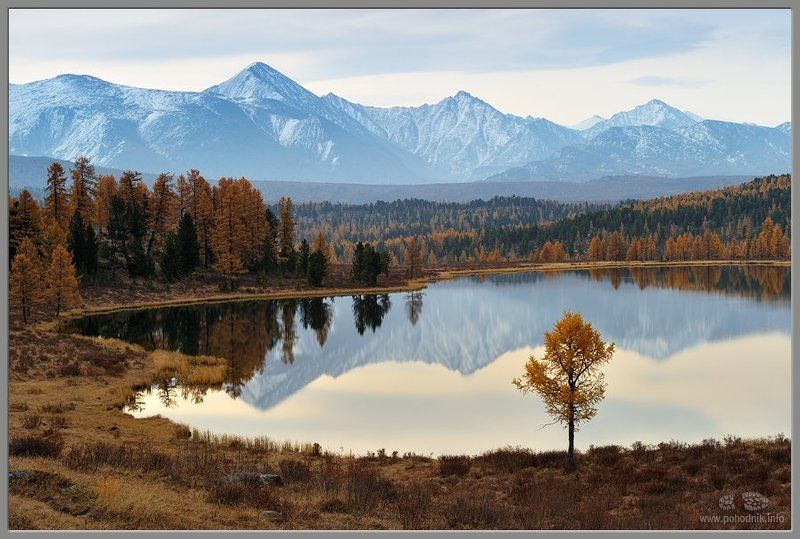 озеро Киделю на Улаганском перевале, Горный Алтай фото превью