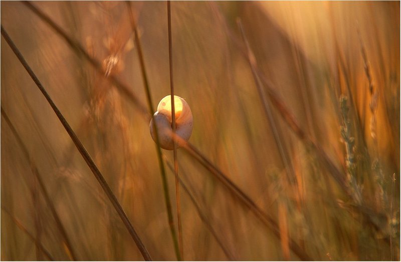 @ фото превью