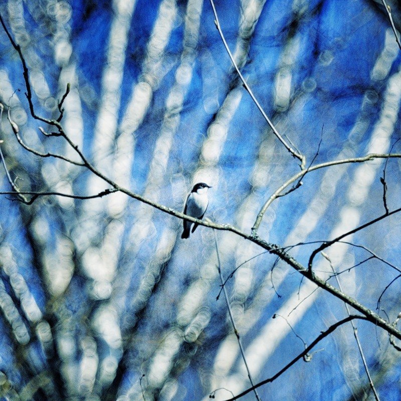 ... фото превью