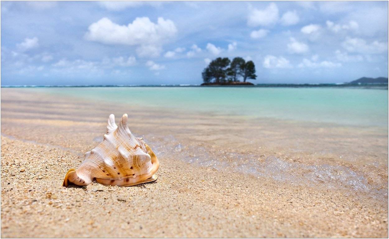 anse, union, la, dique, seychelles, izh Diletant (Валерий Щербина)