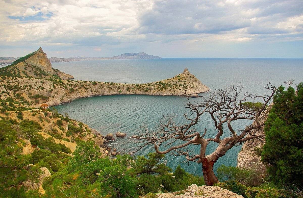 , Игорь Мелекесцев