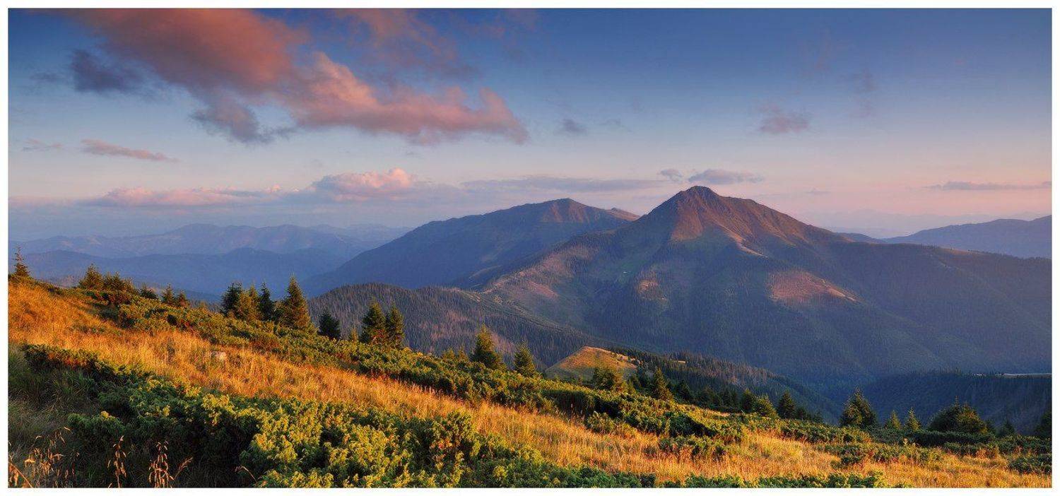 , Денис Кривой