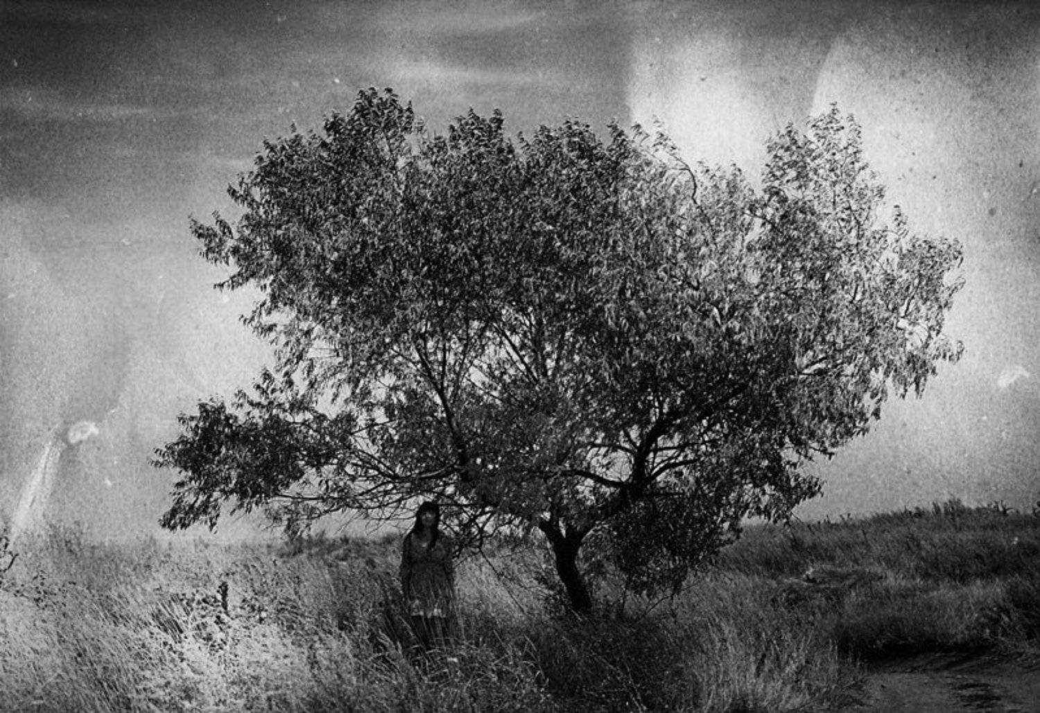 пленка, дерево, девушка, одиночество, тайна, Александр Чикишев