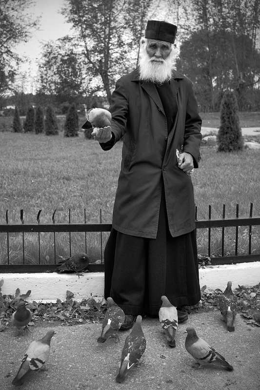 отец анатолий, иосифо-волоцкий монастырь *** фото превью