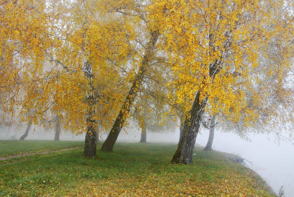 , Николай Морский