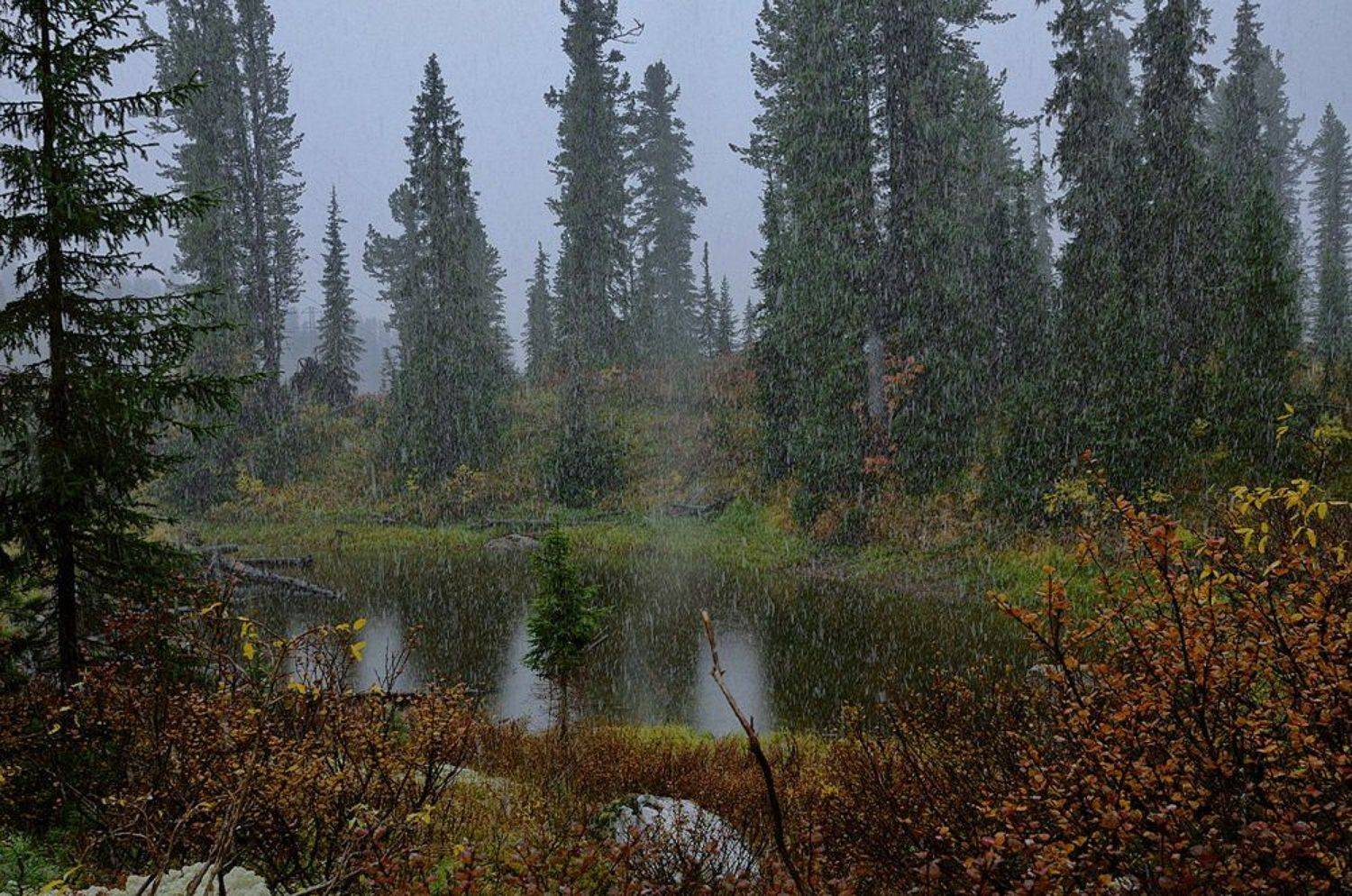 , Евгений strannik521